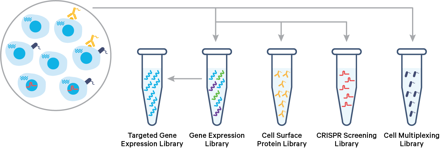 cellplex supported assays